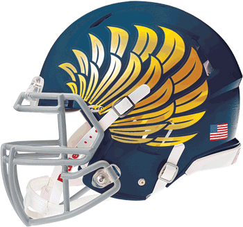 United States Army National Guard Decal For Full Size Football Helmet 