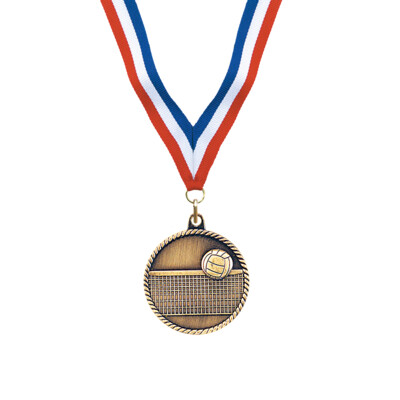 Gold Volleyball Award Medal Thumbnail