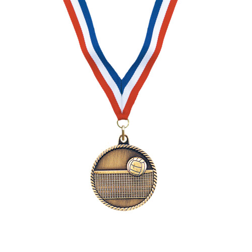 Gold Volleyball Award Medal Thumbnail