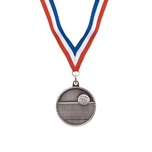 Silver Volleyball Award Medal Thumbnail