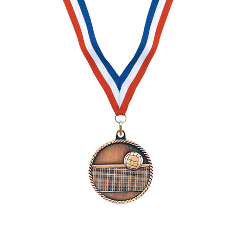 Bronze Volleyball Award Medal Thumbnail