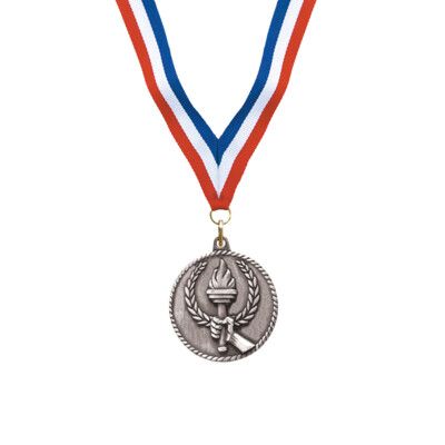 Silver Torch Award Medal Thumbnail