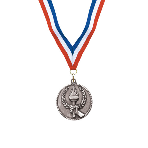 Silver Torch Award Medal Thumbnail