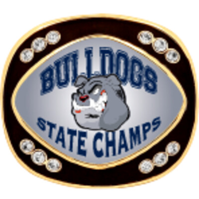 Premium Imprinted Champion Ring with Bling Thumbnail