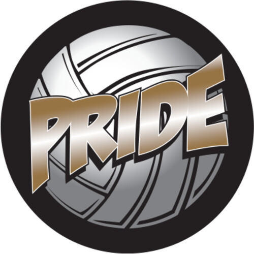 Full Color Volleyball Pride Thumbnail