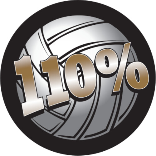 Full Color Volleyball 110% Thumbnail