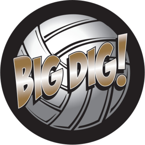 Full Color Volleyball Big Dig Thumbnail