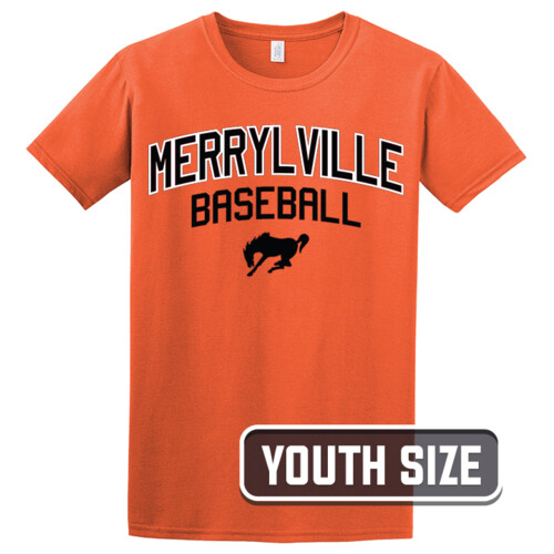 Gildan Softstyle® Youth T-Shirt Thumbnail