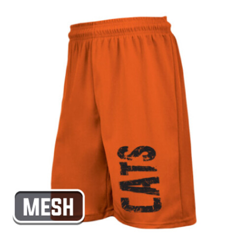 Champro Mesh Shorts Thumbnail