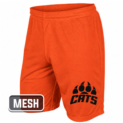 Champro 9" Tricot Mesh Shorts Thumbnail