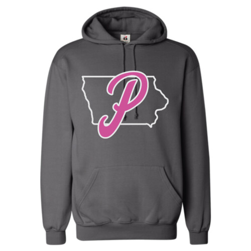 Badger Hooded Sweatshirt Thumbnail