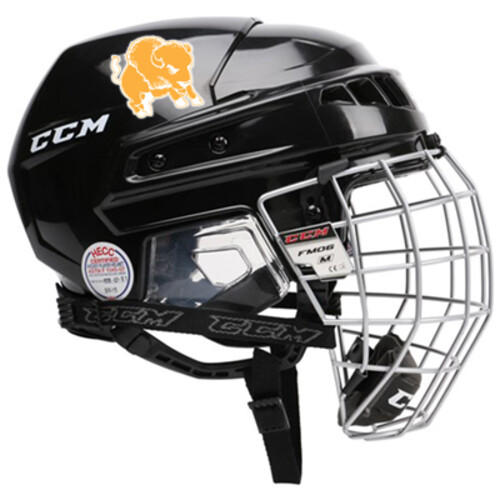 Hockey Helmet Decals Thumbnail
