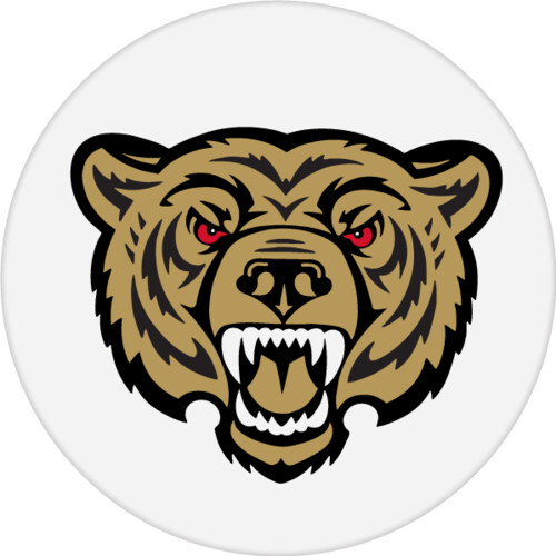 Custom Standard Award Decal Thumbnail