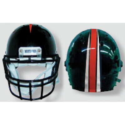 BS303 2 Separate Color Bronco Style Stripes Thumbnail