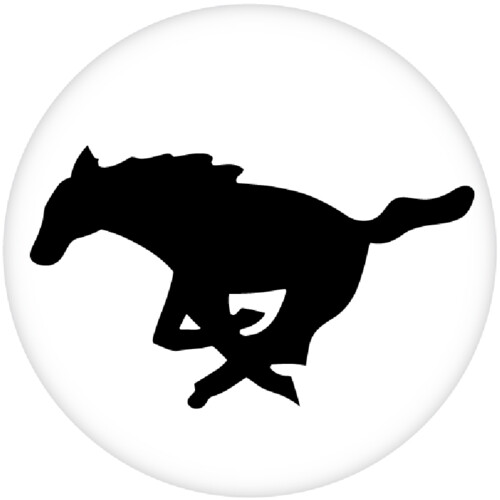 30 Mustang Thumbnail