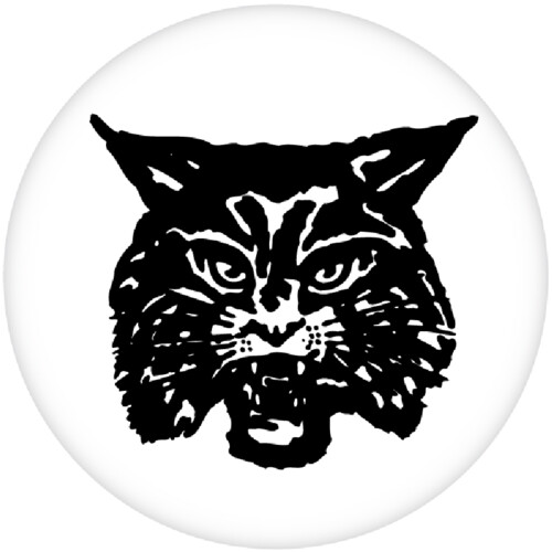 49 Wildcat Thumbnail