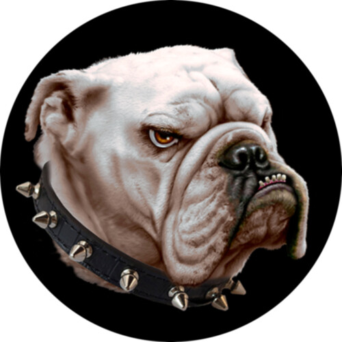 FCMDBulldog Thumbnail