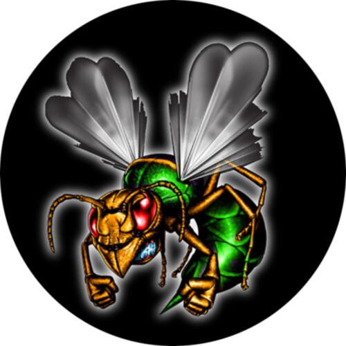 FCMDHornet Thumbnail