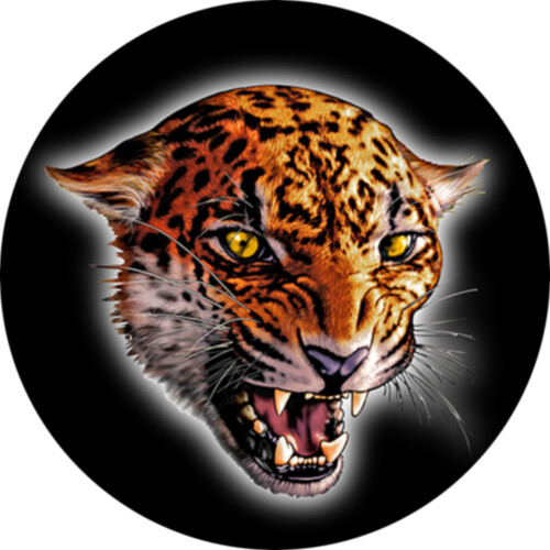 FCMDJaguar Thumbnail