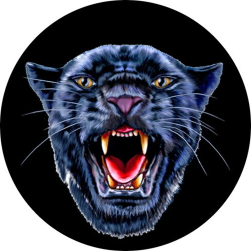 FCMDPanther Thumbnail