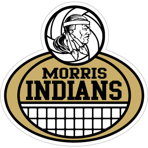 Volleyball Net Yard Sign Thumbnail