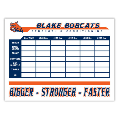 Goal & Record Boards Thumbnail