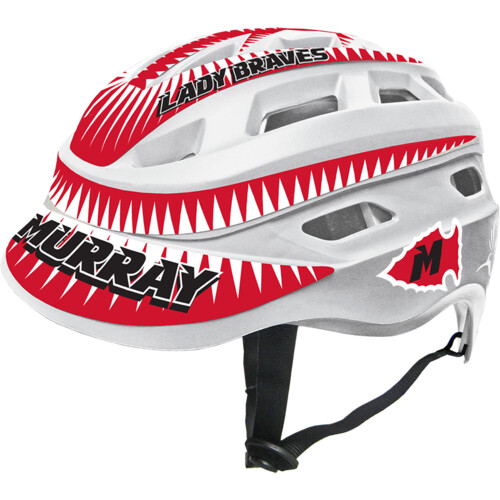 HMBSET Full-Color Hummingbird Set Thumbnail