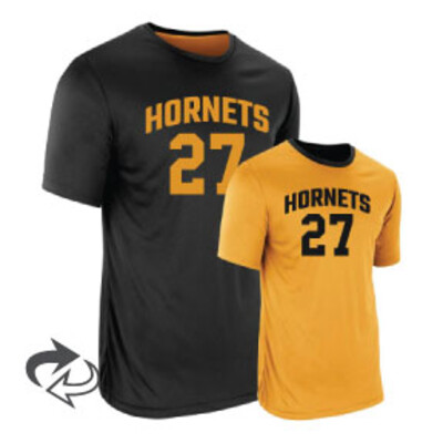 Champro Z-Cloth Dri-Gear Reversible Tee Thumbnail