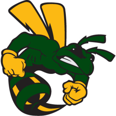 Hornet 10 01 Thumbnail