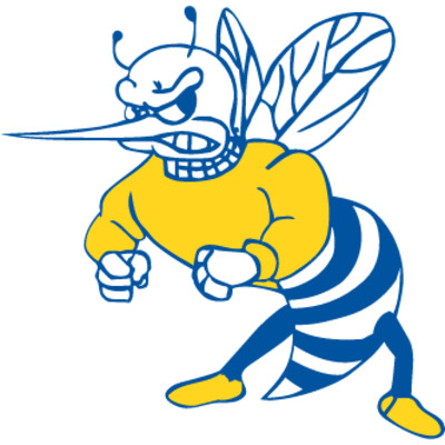 hornet 3 01 Thumbnail