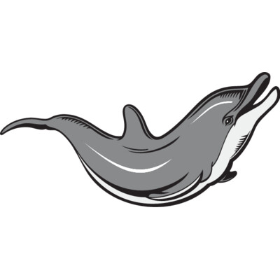 Dolphin07V4clr 01 Thumbnail