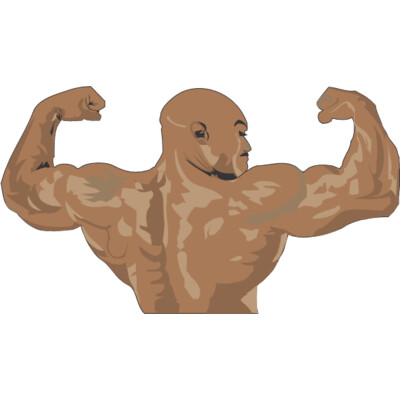 BODYBLD3 01 Thumbnail