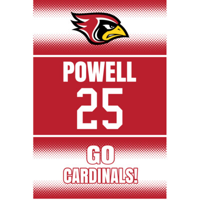 BBSB21311B Thumbnail