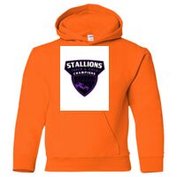 Gildan Heavy Blend™ Youth Hooded Sweatshirt Thumbnail