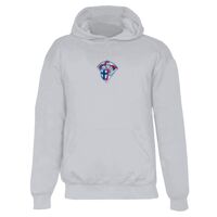Badger Youth Hooded Sweatshirt Thumbnail