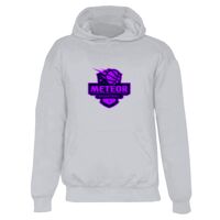 Badger Youth Hooded Sweatshirt Thumbnail