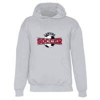 Badger Youth Hooded Sweatshirt Thumbnail