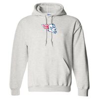 Gildan 9.3 oz. DryBlend Hooded Sweatshirt Thumbnail