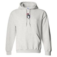 Gildan 9.3 oz. DryBlend Hooded Sweatshirt Thumbnail