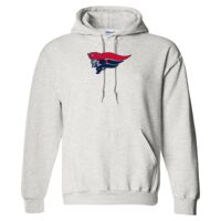 Gildan 9.3 oz. DryBlend Hooded Sweatshirt Thumbnail