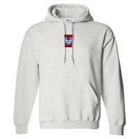 Gildan 9.3 oz. DryBlend Hooded Sweatshirt Thumbnail