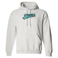 Gildan 9.3 oz. DryBlend Hooded Sweatshirt Thumbnail