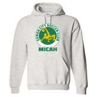 Gildan 9.3 oz. DryBlend Hooded Sweatshirt Thumbnail