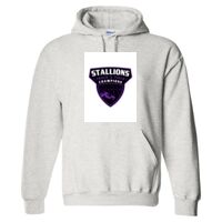 Gildan 9.3 oz. DryBlend Hooded Sweatshirt Thumbnail