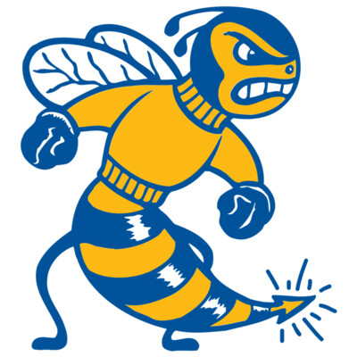 Bees Yellowjackets Thumbnail