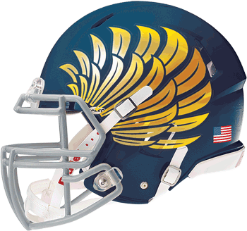 Custom Football Helmets Custom Mini Helmet Decals Oversized